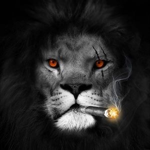 Meet your Posher, Edward